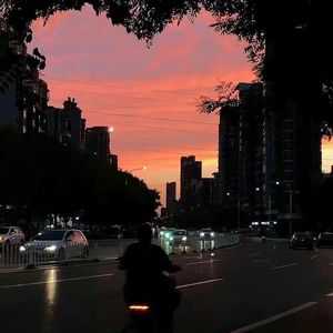 许安妮醉酒免费版
