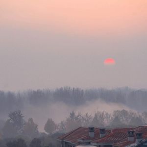 许安妮醉酒免费版
