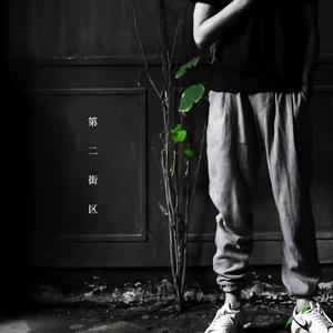 许安妮醉酒免费版
