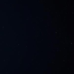 许安妮醉酒免费版
