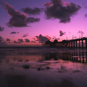 许安妮醉酒免费版
