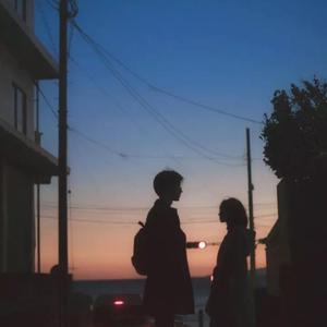 许安妮醉酒免费版
