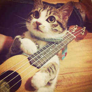 许安妮醉酒免费版
