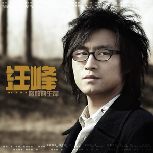 许安妮醉酒免费版
